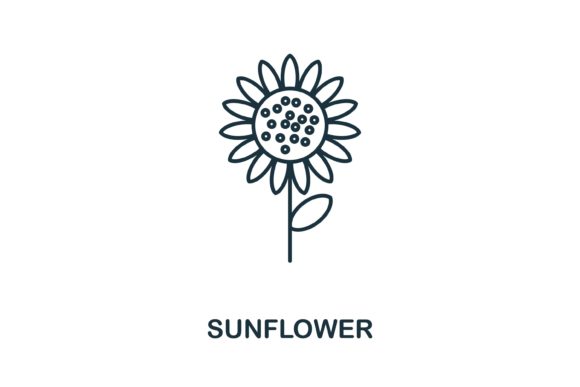 Sunflower Icon: A Versatile Graphic for Branding and Marketing